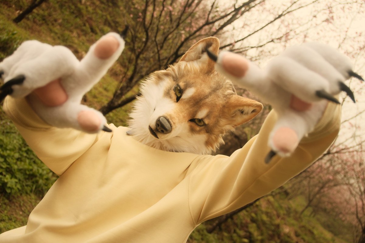 Selly GO Your Heart tweet media