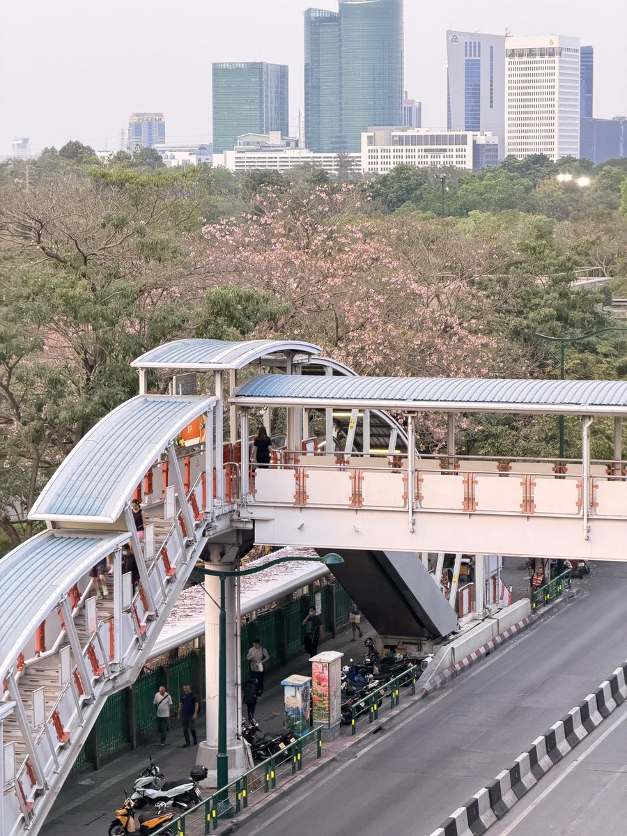 日本にいるみたいな雰囲気だけど、実はBTSモーチットだよ🌸🇹🇭✨