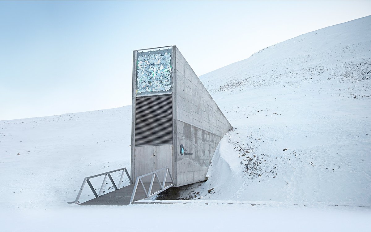 Something both fascinating and scary about the global seed vault in Svalbard deep in a mountain. A weapon against genetic monoculture - we might need this for authentic thoughts in the future