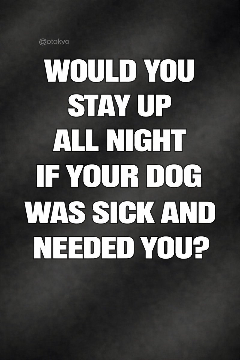 Aaliyah Shark アリーヤ tweet media