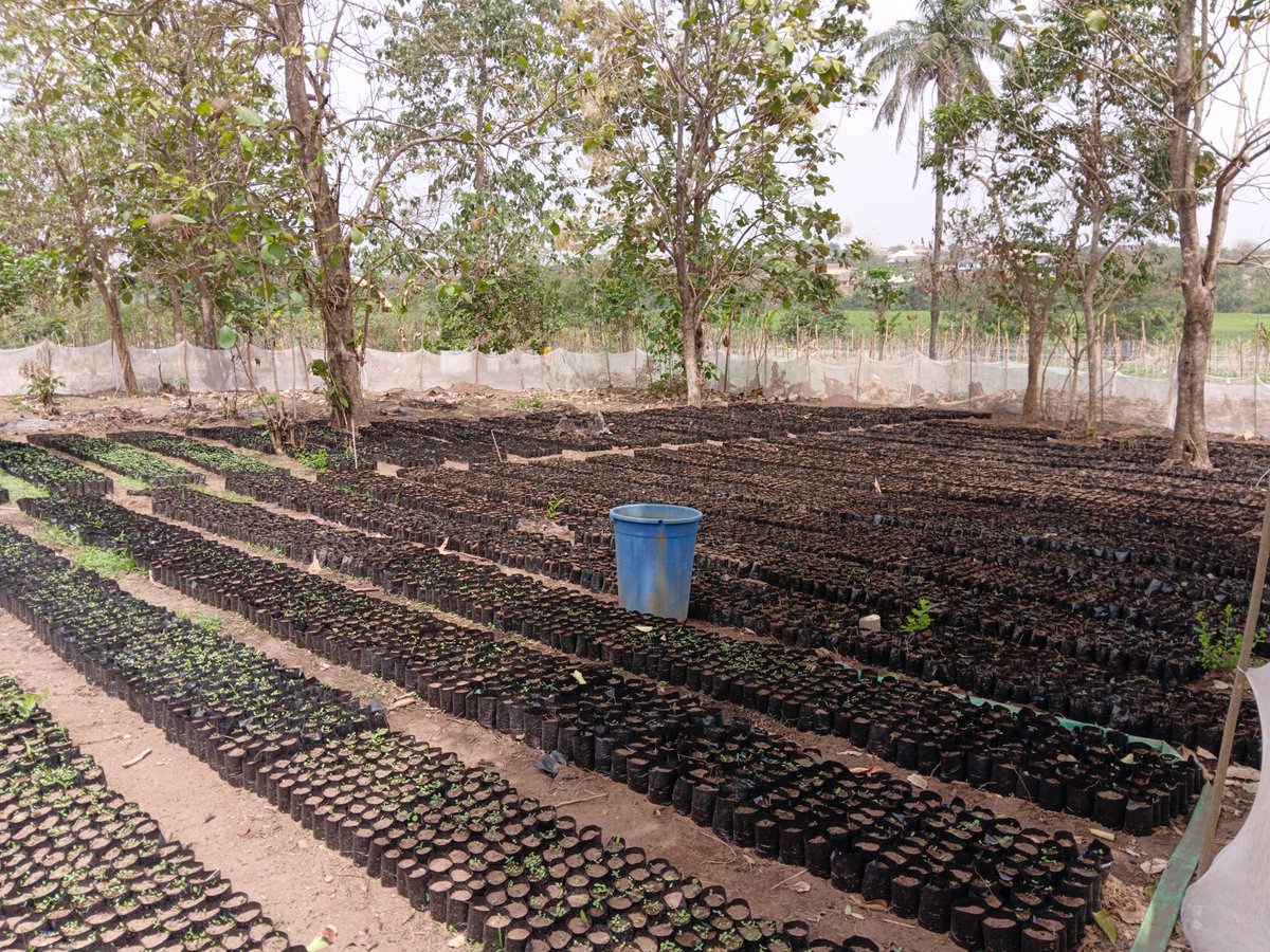 David🌾🇳🇬 tweet media