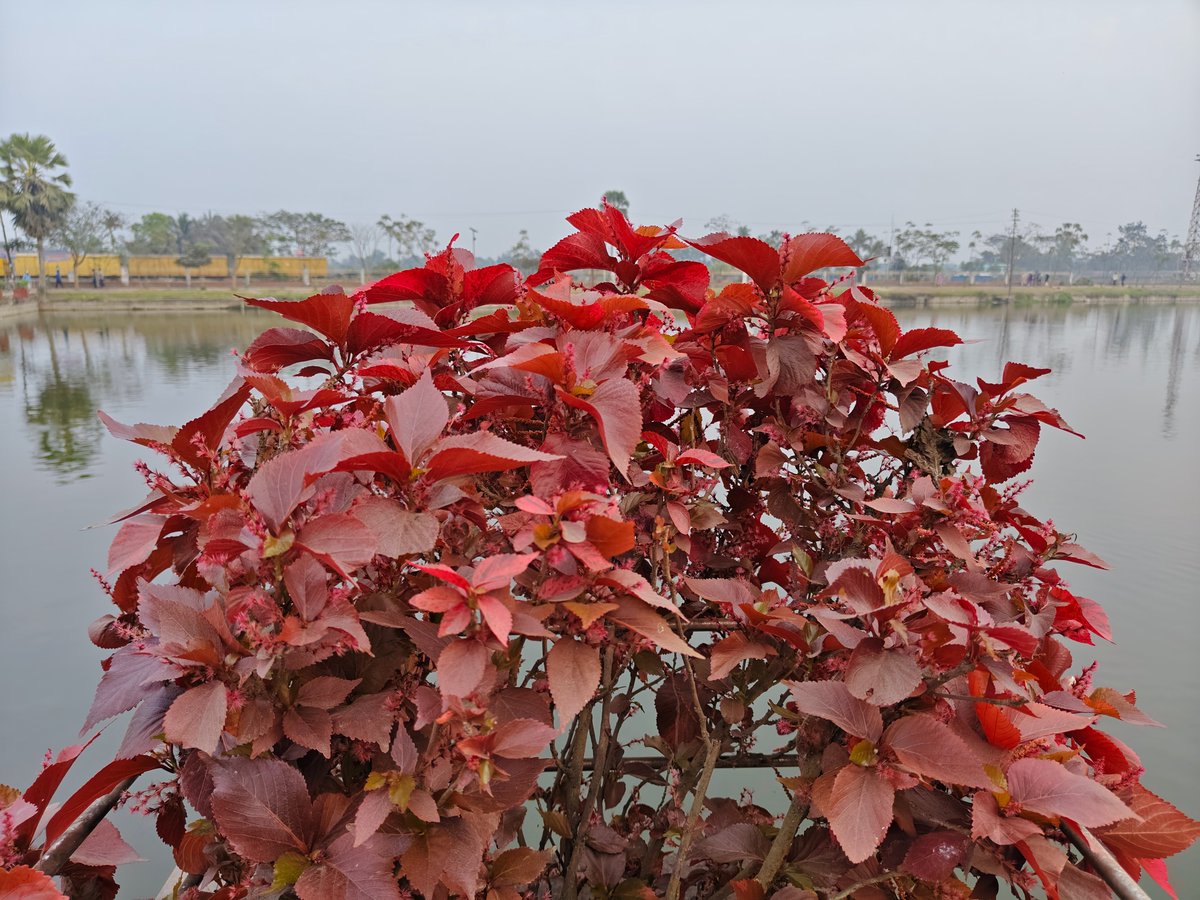 If you have 100 followers 

For 431+ active gain

Just say "Yeah" we connect you🌸💯