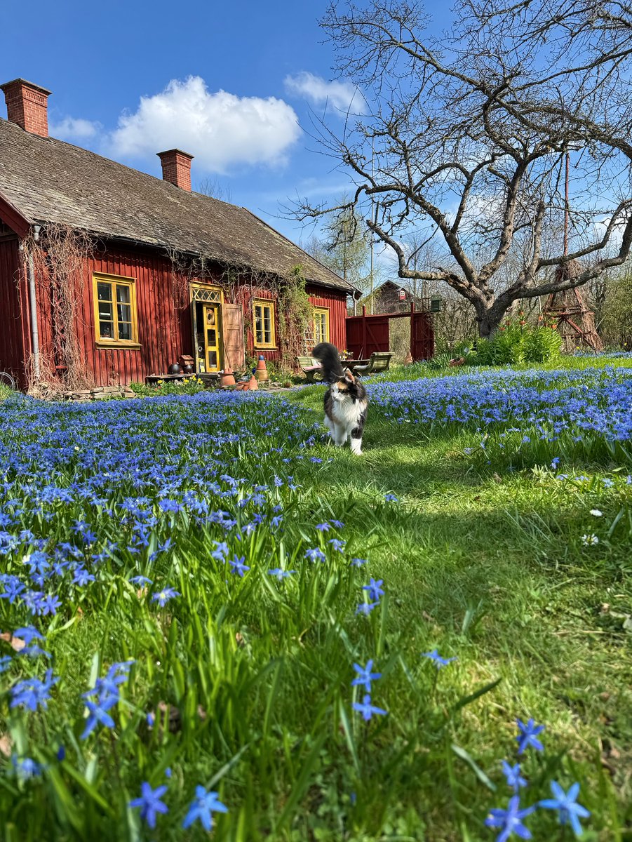 World Click (@worldclick56) on Twitter photo 