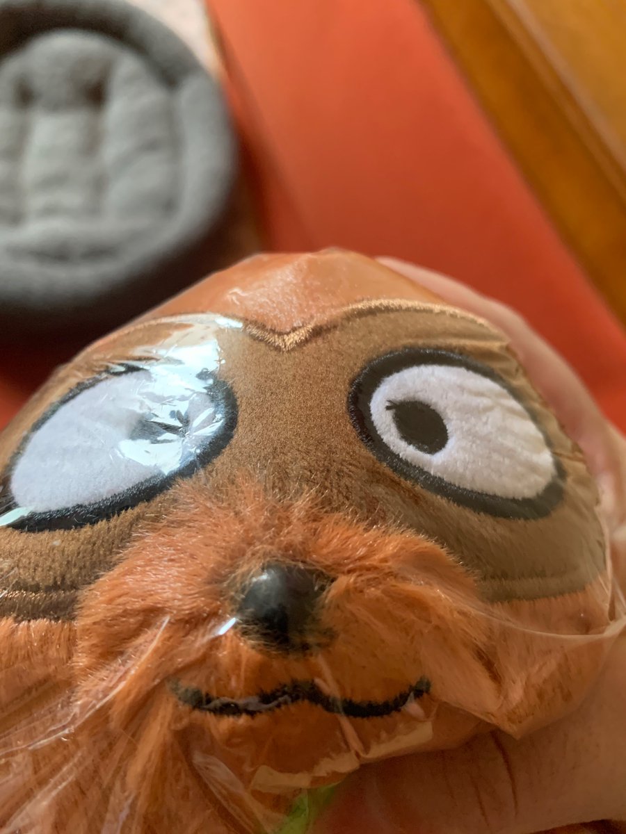 Elliawald @DOKOMI tweet media