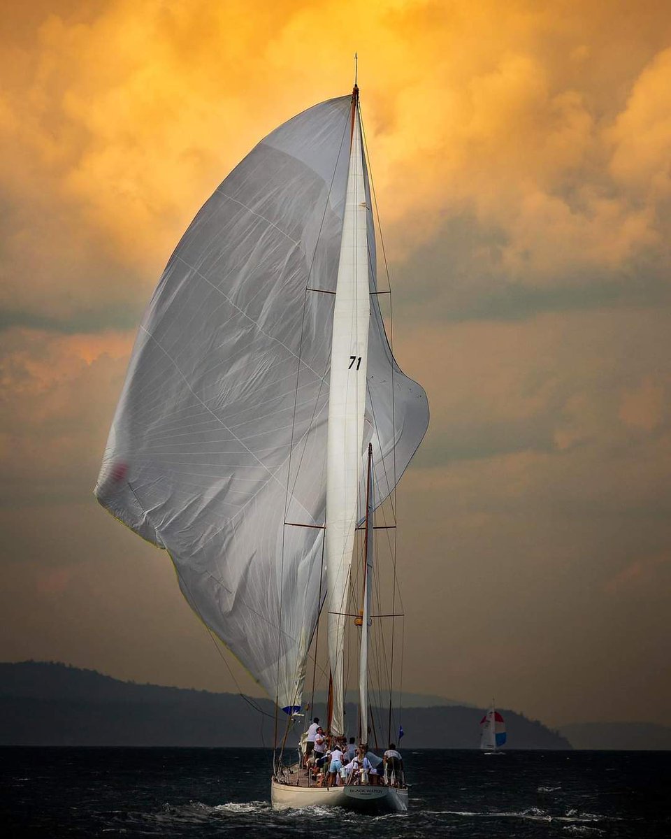 sailboat nationalism tweet media