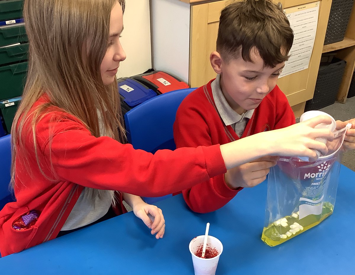 Willows Primary Academy tweet media