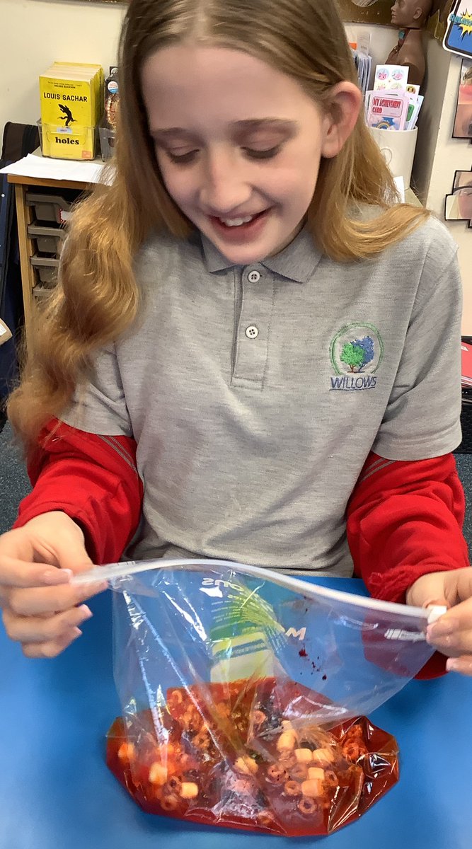 Willows Primary Academy tweet media