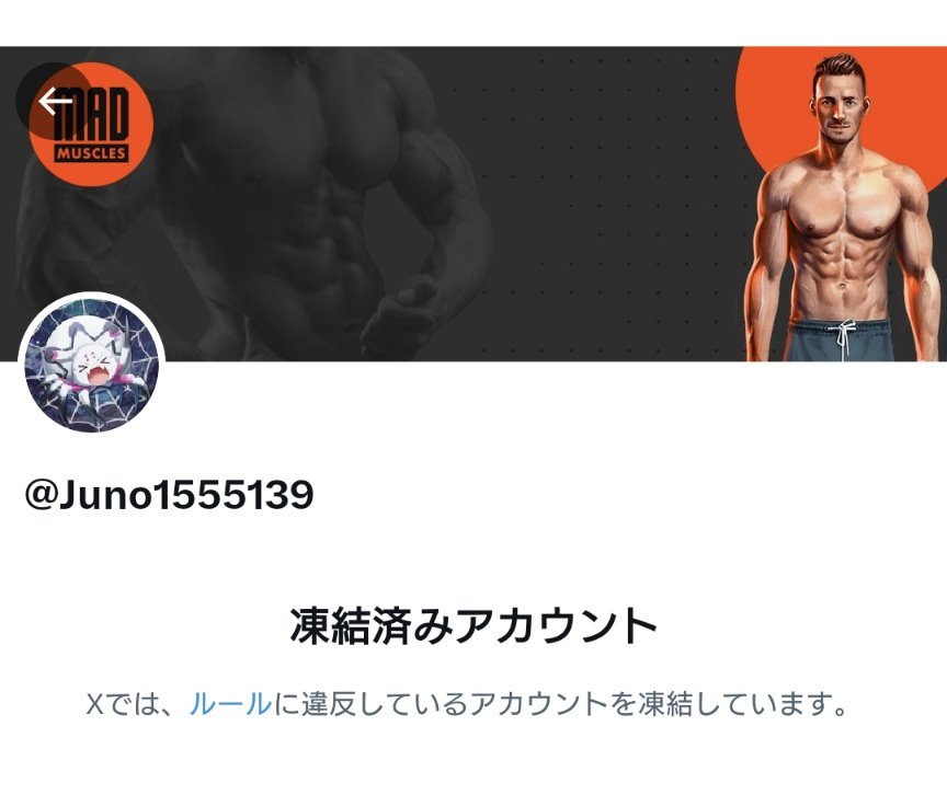 皆様のおかげで、1年以上しぶとく残っていたなりすましアカウント凍結