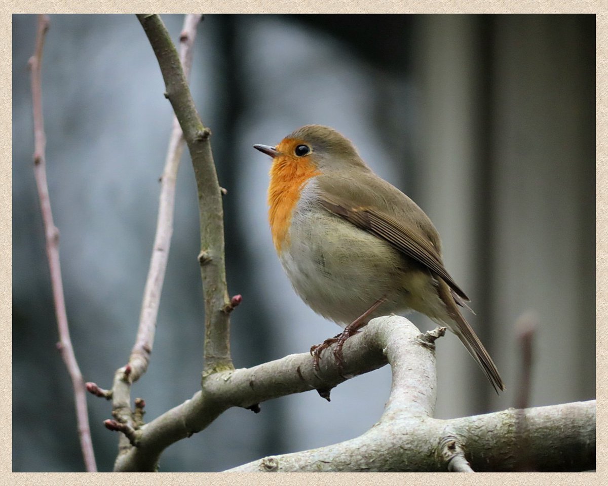 Iet 🌍 tweet media