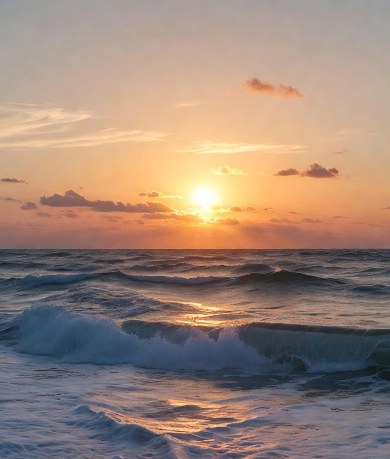 Lisa🌺 tweet media