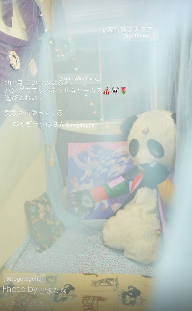 まぼろし🐼ポイポイ tweet media