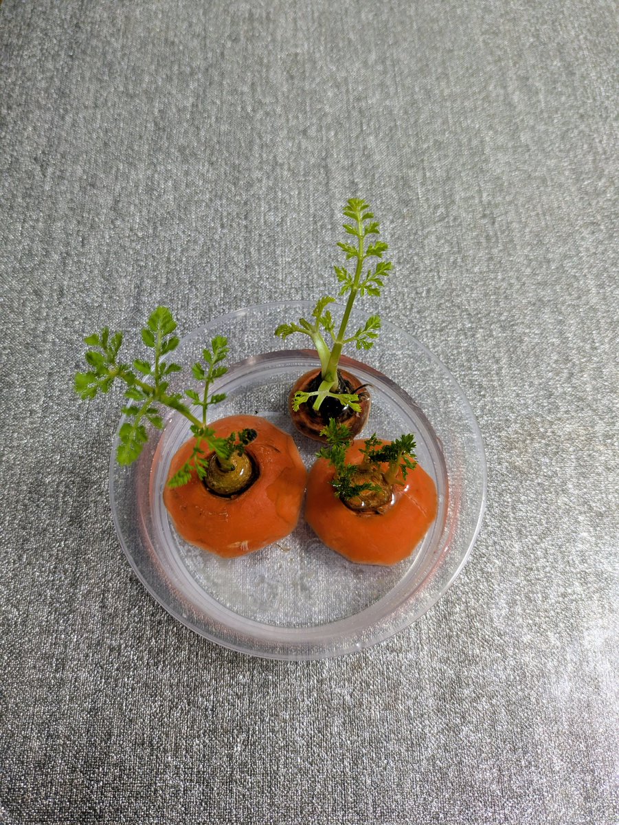 yamachan399 やまちゃん✨ ありがとうございます🙇 部屋の中で日差しが