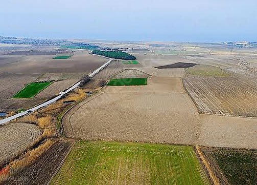 PARA BABASI 💵 tweet media