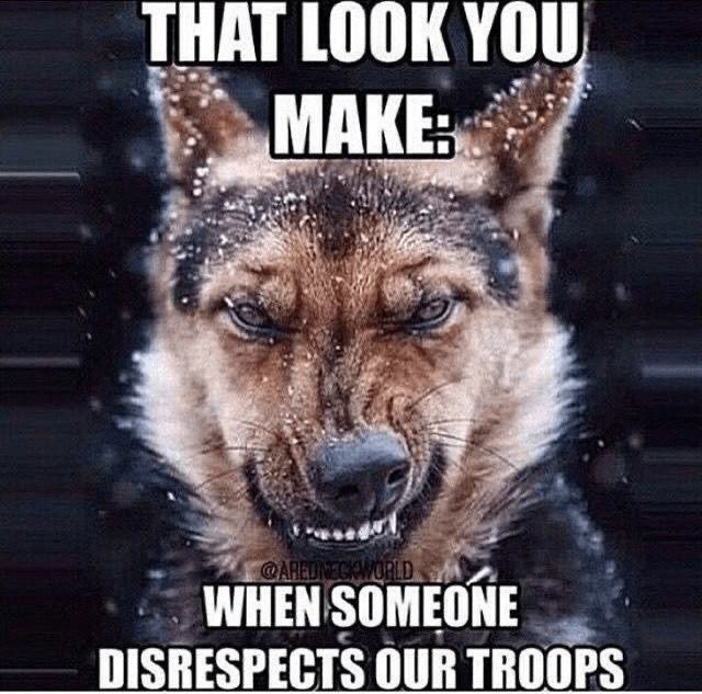 Good morning, patriots. 😌