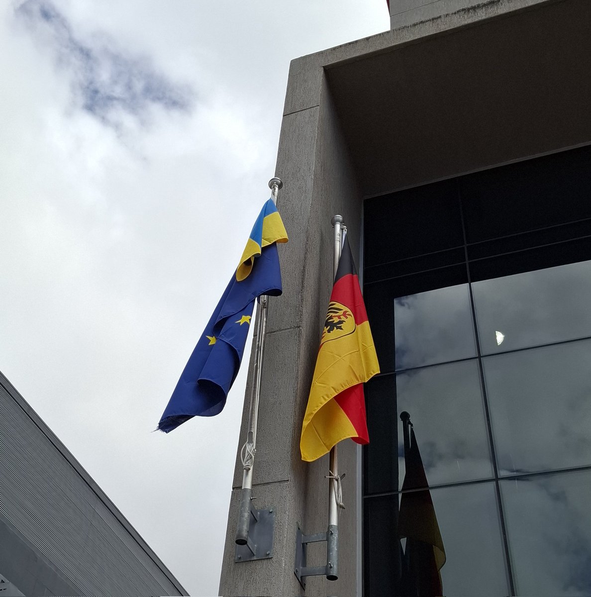 Tanja Werheit tweet media