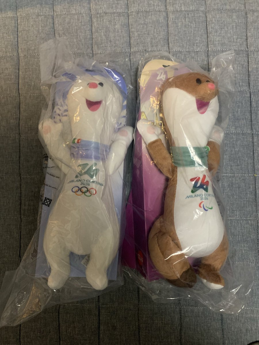 イタリア🇮🇹からと思ったら、ベルギー🇧🇪から国際郵便で密輸👍 デカ