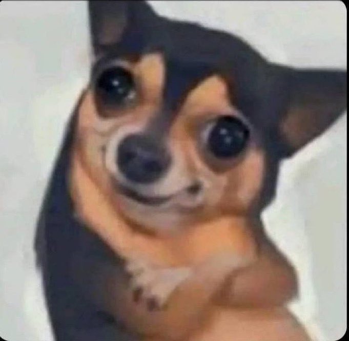 TJ_Forex tweet media