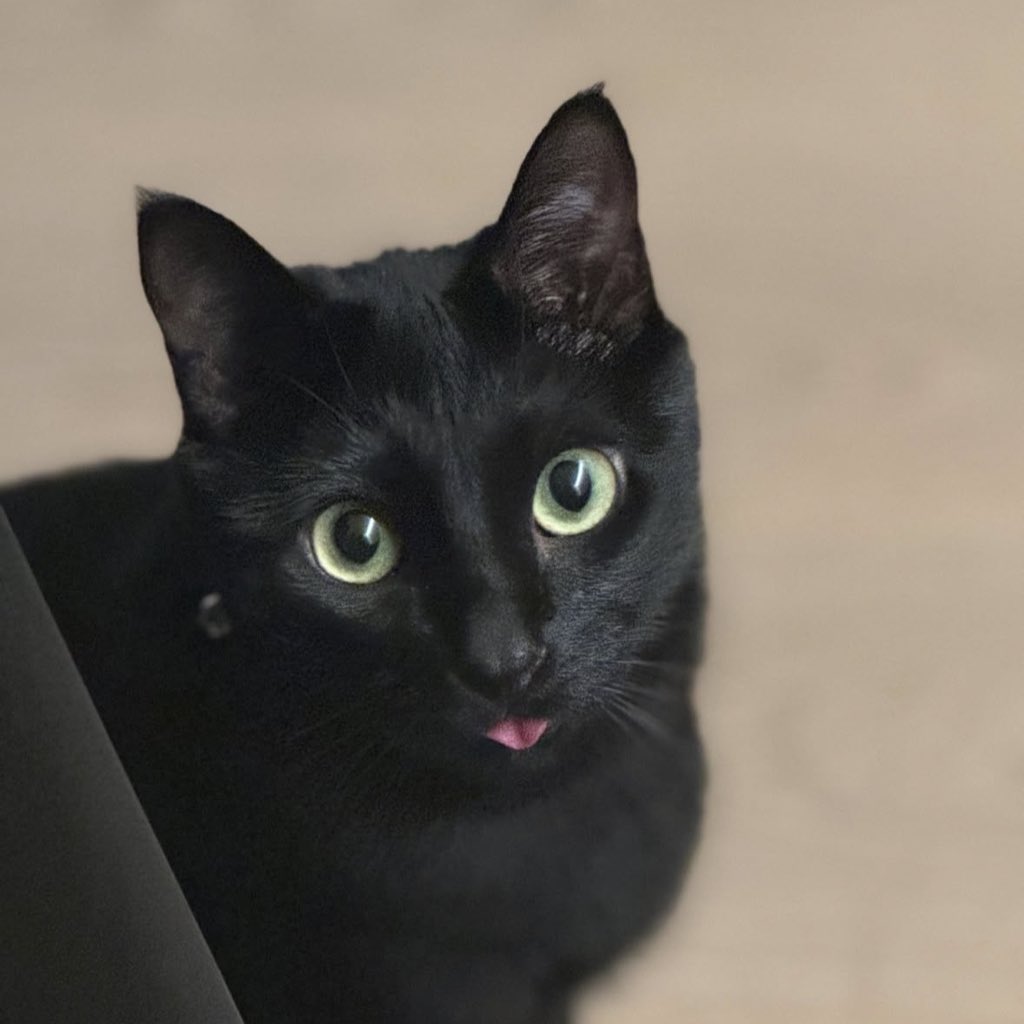 anya⁷💫 tweet media