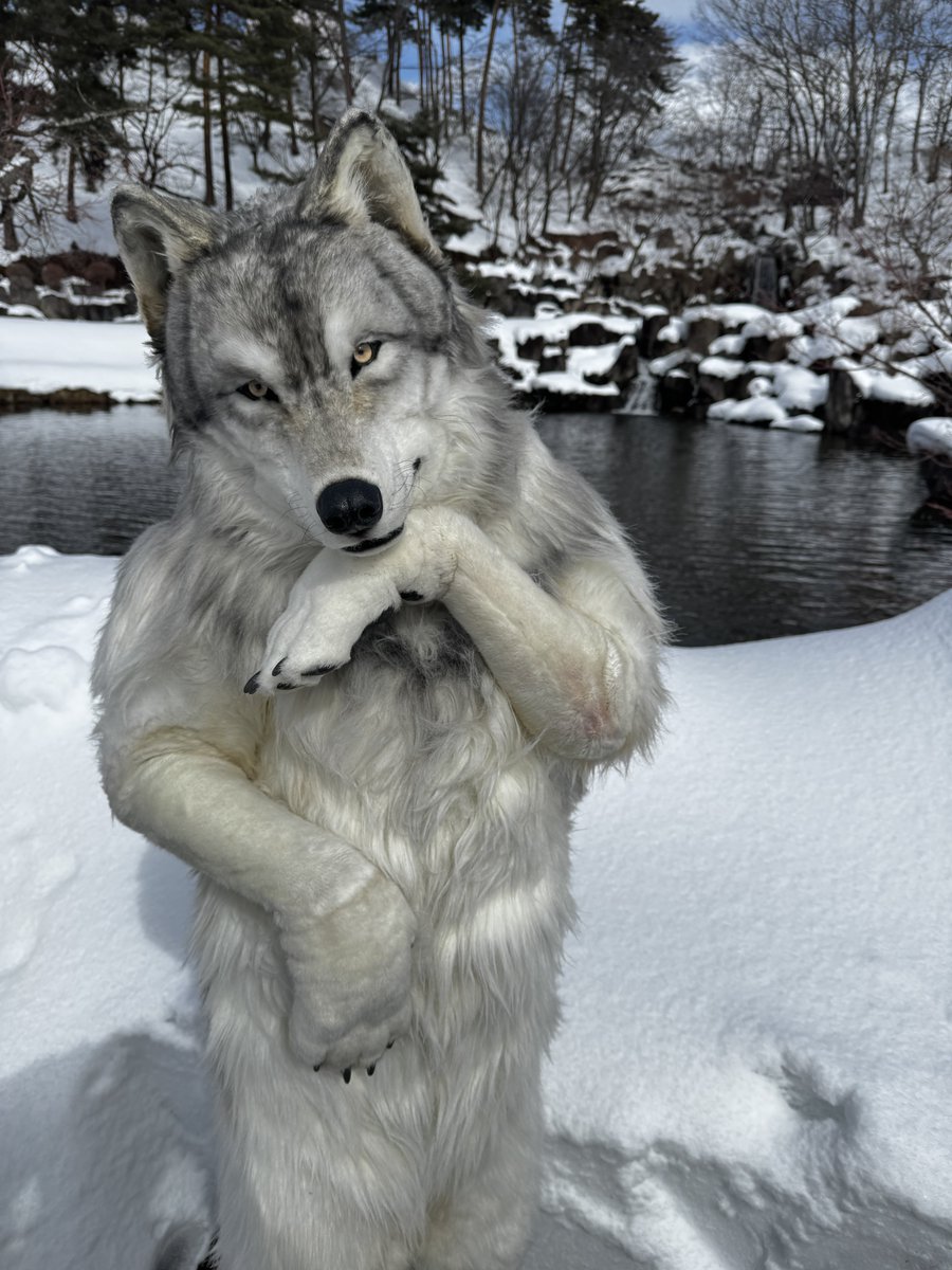 和製パスタ tweet media