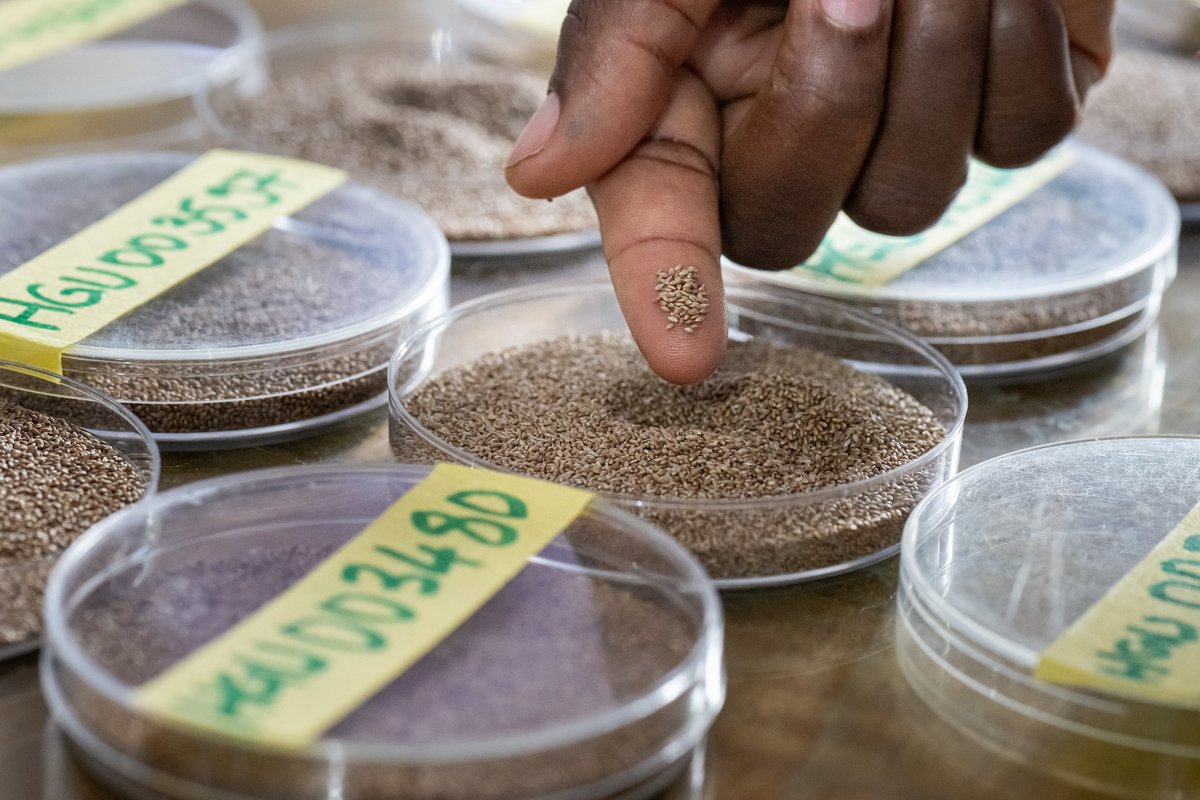 Farming First tweet media