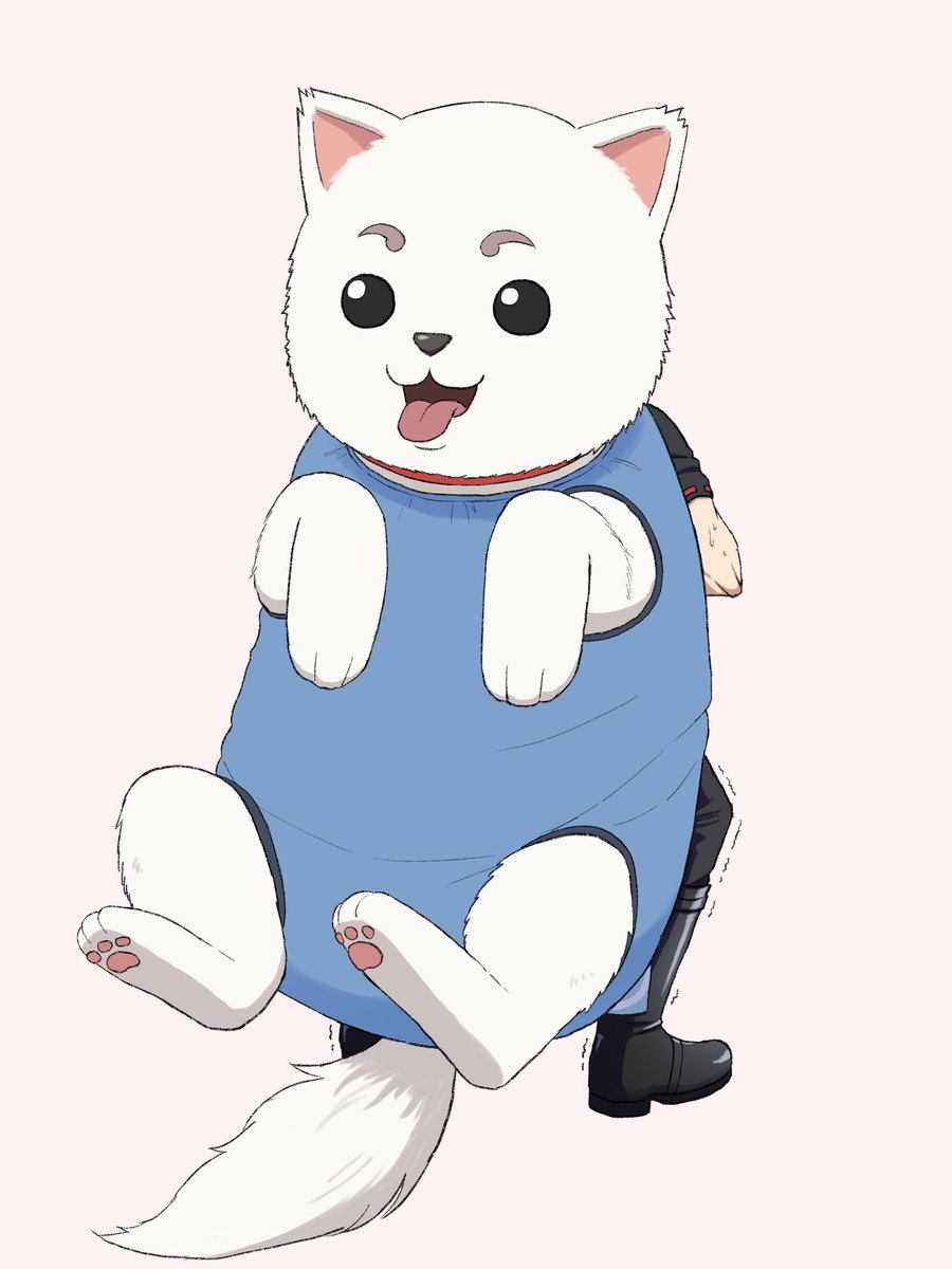 パグ (@shiwashiwapagu) on Twitter photo 