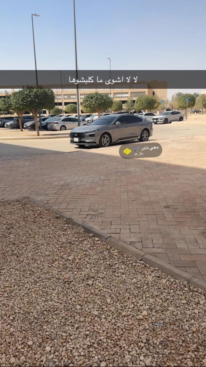 Y•S•A tweet media