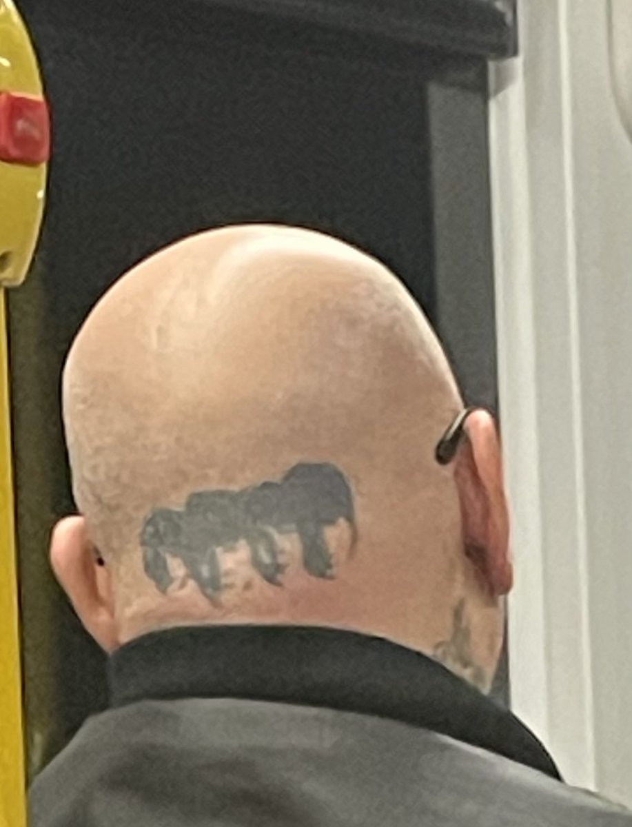 Dominic Bliss tweet media