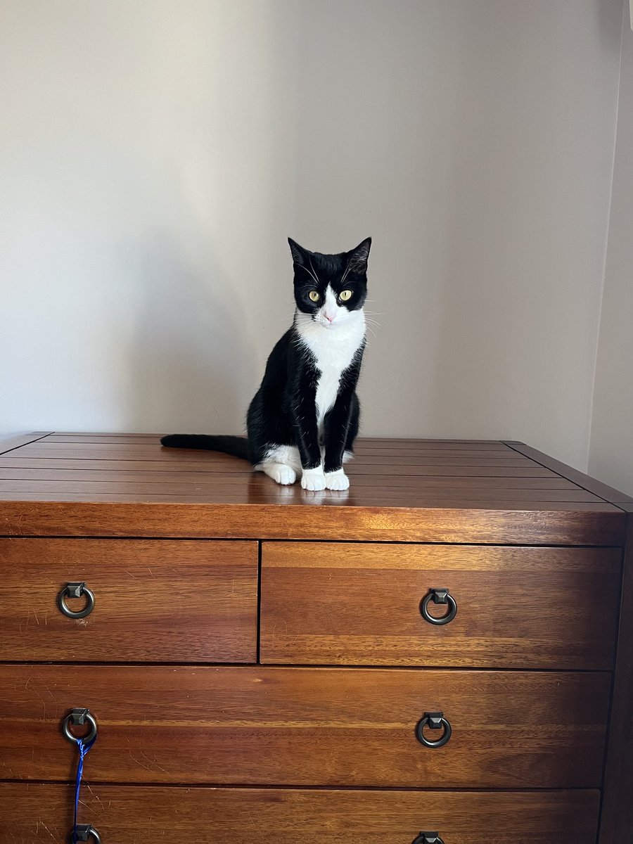 owen clark tweet media