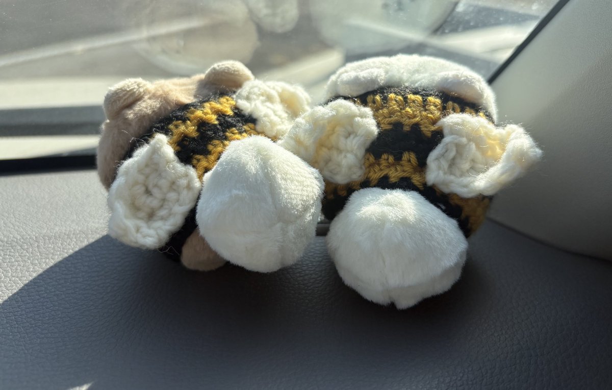 ぽぬとおでかけ🐝 寄せ植え買ってきた