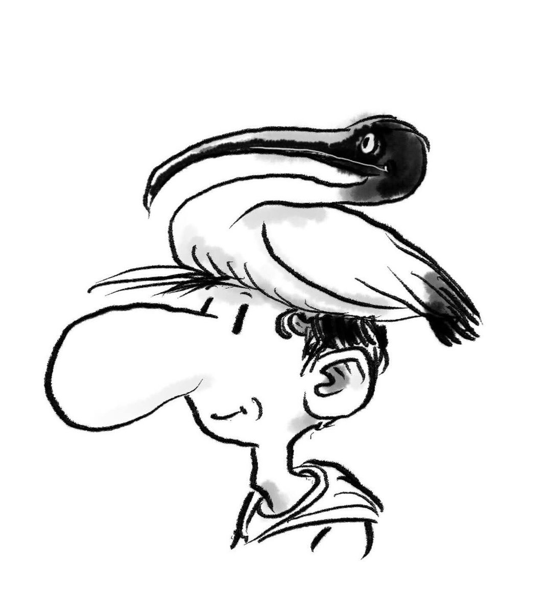 שי צ'רקה shay charka tweet media