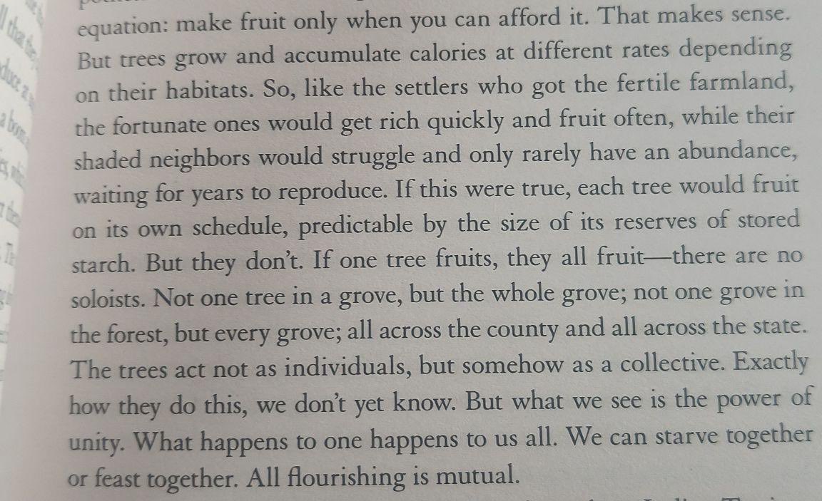 reading2time tweet media