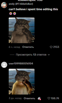 moomoo tweet media