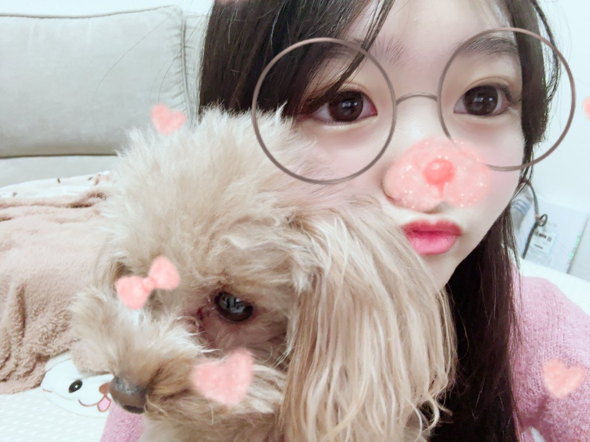 るりん🧸 (@rurintan329) / Posts / X