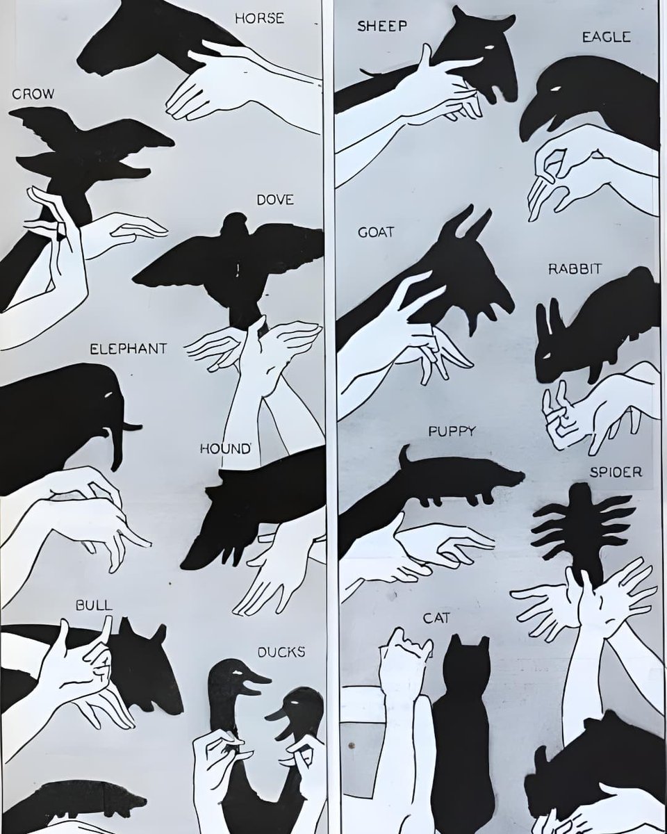 5min__crafts's tweet photo. Please try this to remember your childhood 🥹 Making shadow puppets on the wall with just a flashlight or candle. 🖐️✨ https://t.co/H1h1qD0wwG