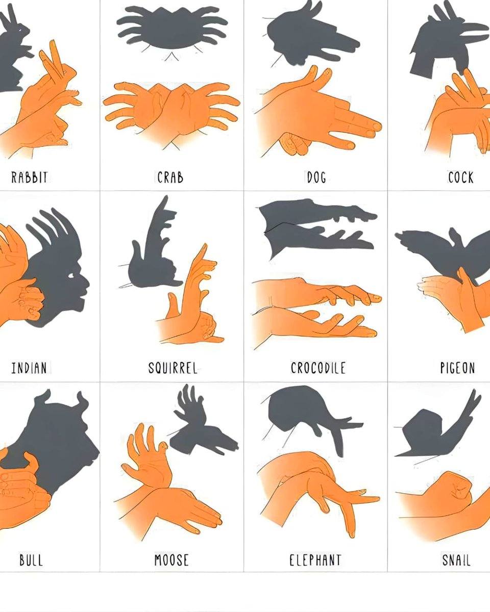 5min__crafts's tweet photo. Please try this to remember your childhood 🥹 Making shadow puppets on the wall with just a flashlight or candle. 🖐️✨ https://t.co/H1h1qD0wwG