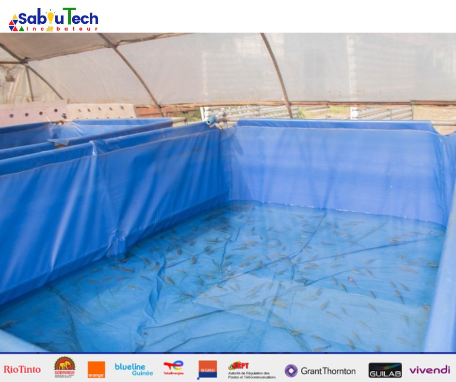 Incubateur SABOUTECH tweet media