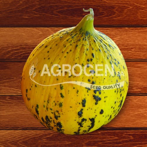 AgrogenSA's tweet photo. Σπόροι Πεπονιού από την Agrogen - https://t.co/AW8i6uqxU9 https://t.co/7R4iCL6ius