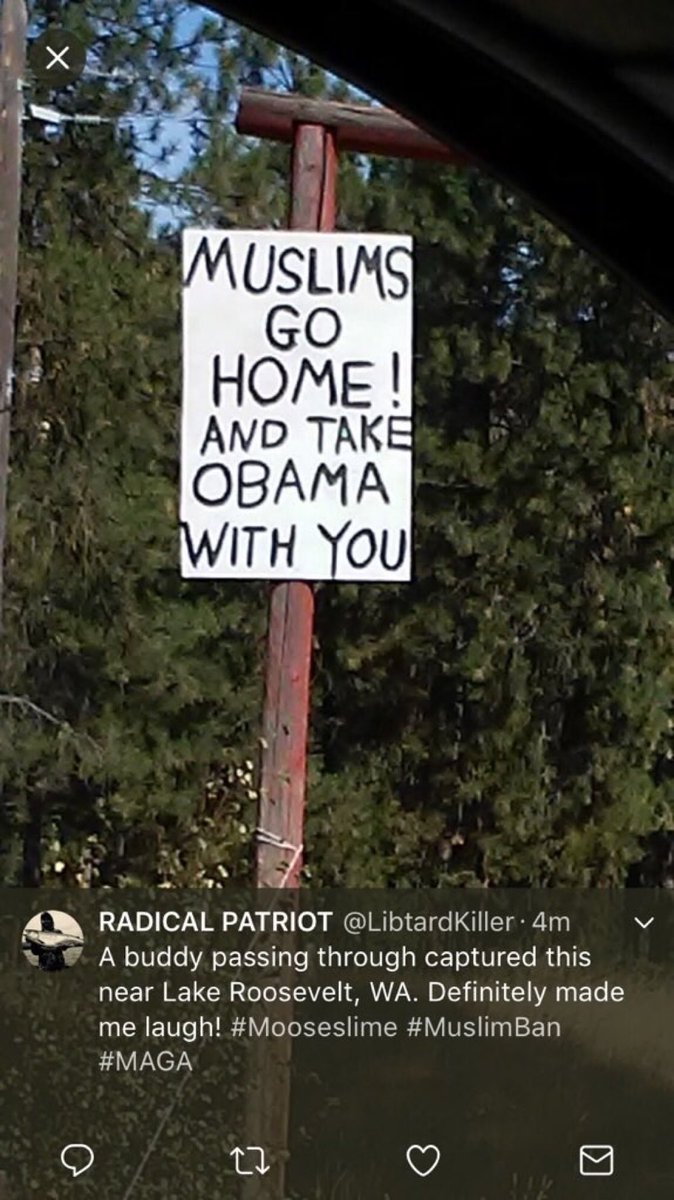 ThorZee (@barbaracarrino2) on Twitter photo 