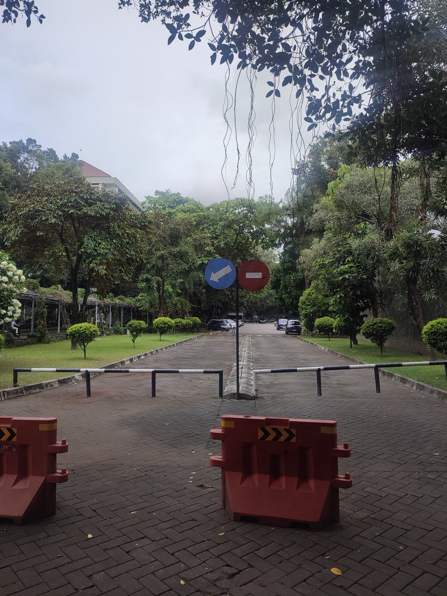 Menurut UGM, inilah batas hukum dengan politik