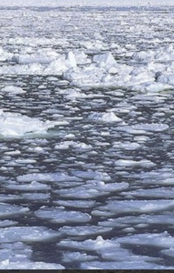 アマムプリュ菓子店 tweet media