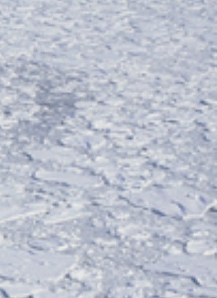 アマムプリュ菓子店 tweet media