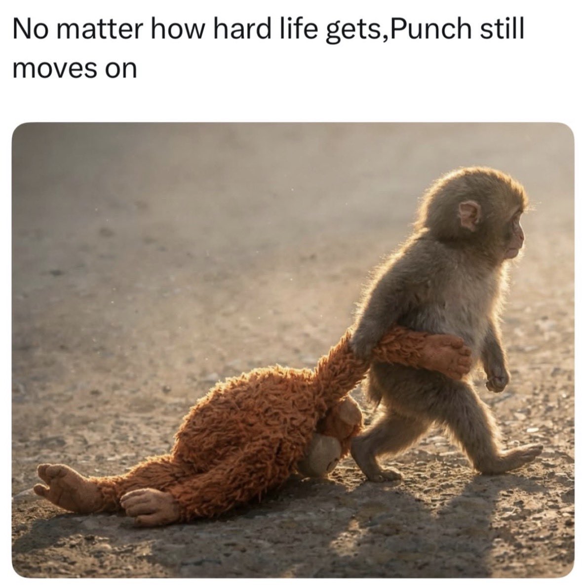 Respectful Memes (@respectfulmemes) on Twitter photo 