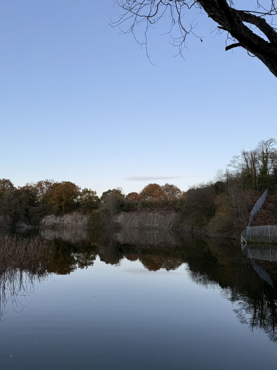 Lucymaeve tweet media