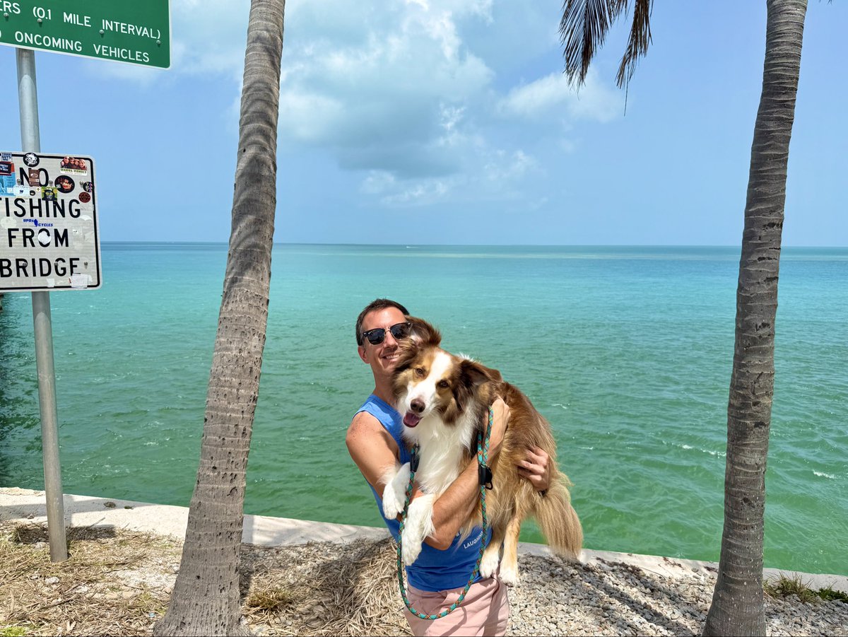 briar 🌺 tweet media