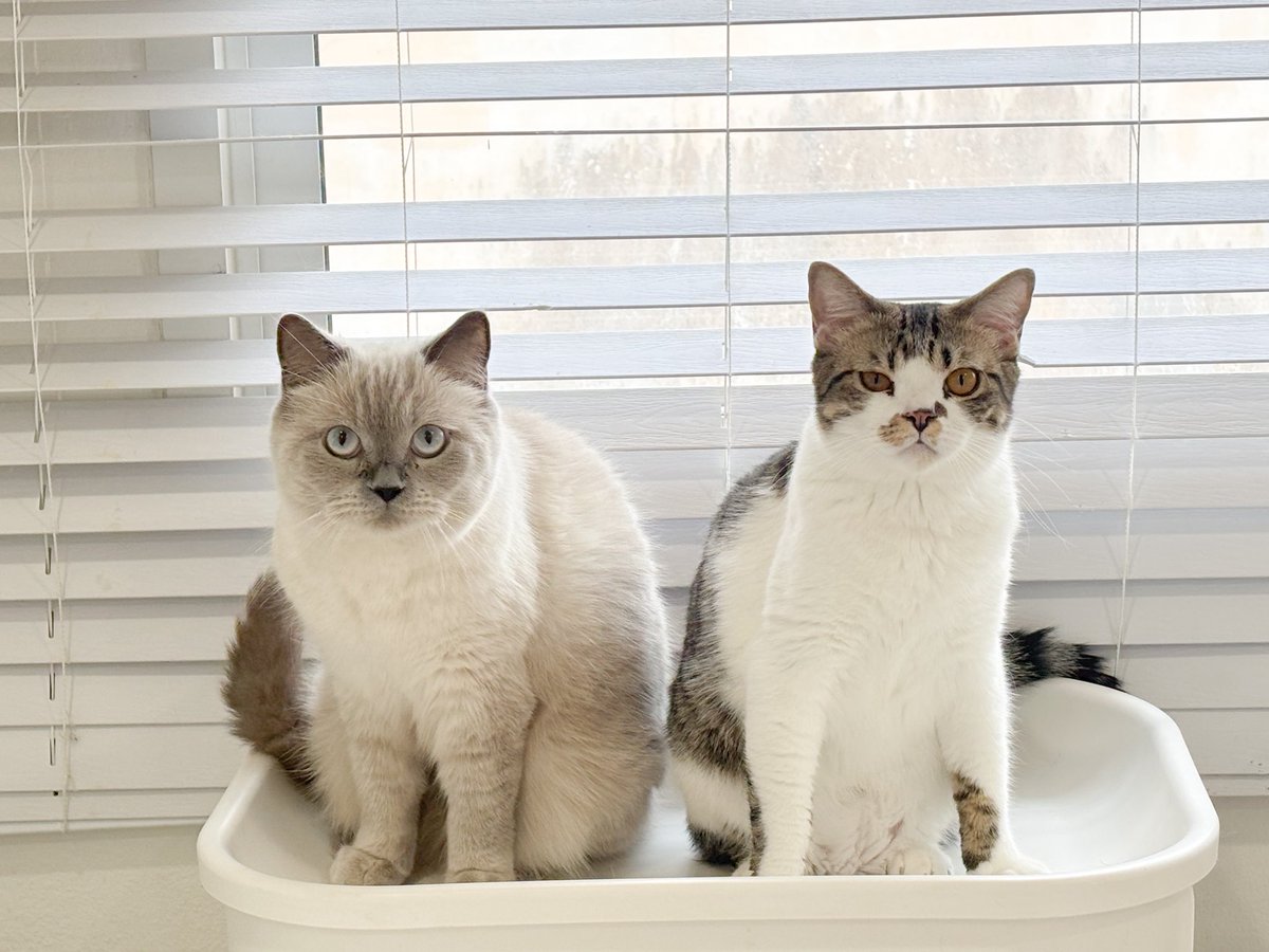 สุดหล่อบ้านมาลอนน