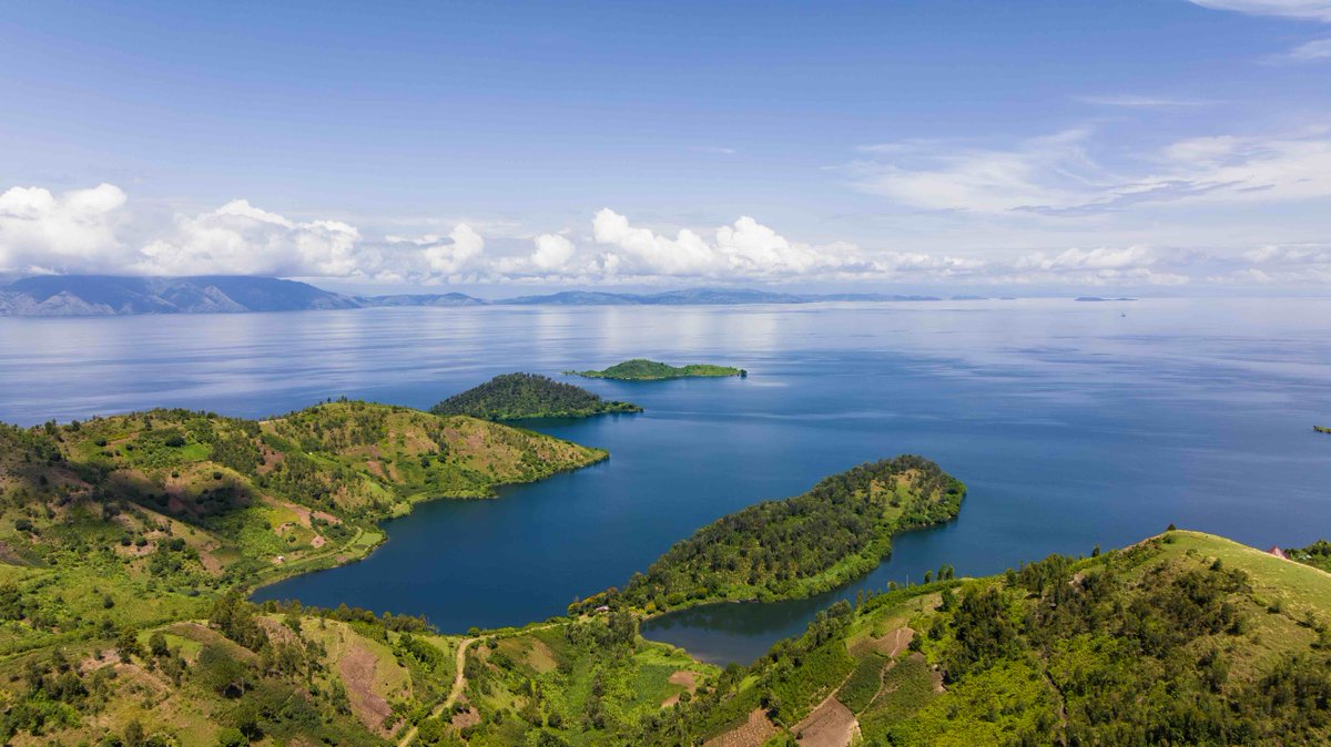 WRI Africa tweet media