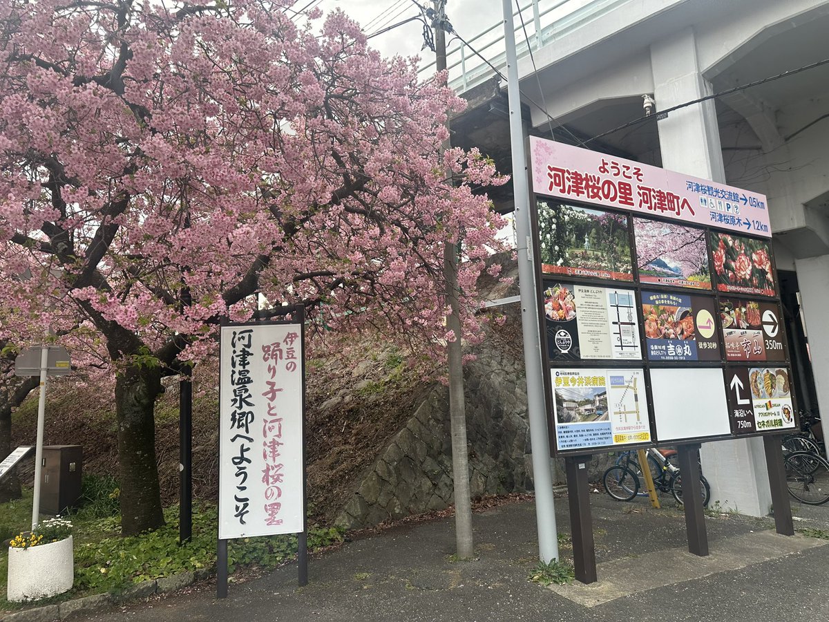 Kaka Cheung tweet media