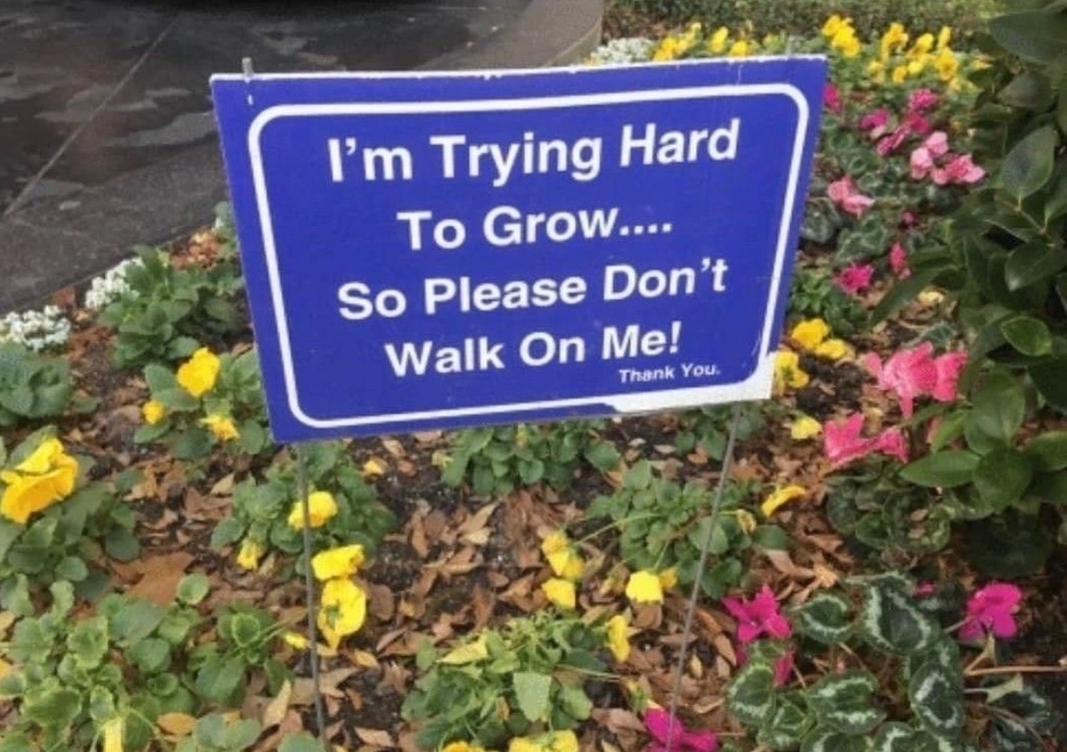 RespectfulMemes's tweet photo. https://t.co/Q4XJjhuUem