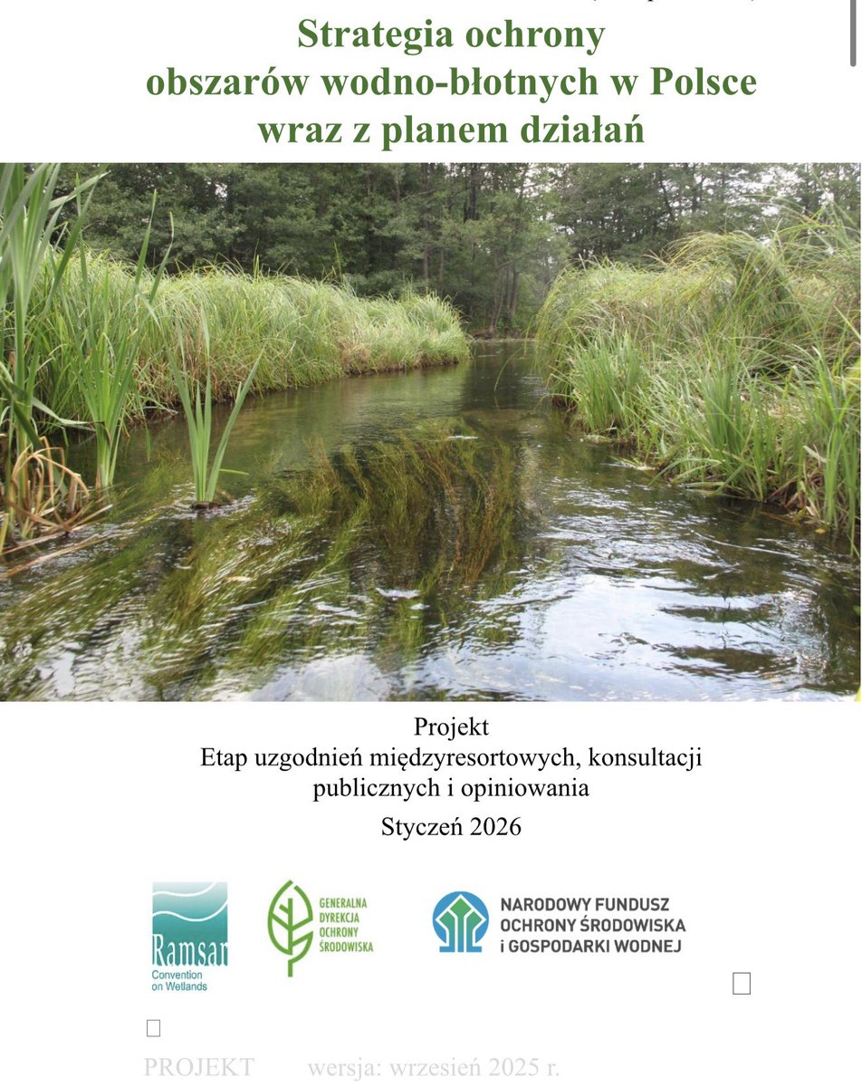 jacekzarzecki tweet media