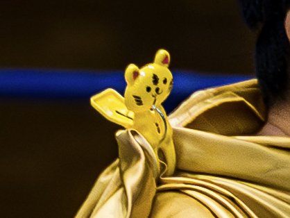 2026.2.23 新日本プロレス
愛知県武道館
マスクドファラオのマントを留めてたのがトラの洗濯バサミなのが可愛すぎる
#マスク・ド・ファラオ #田口隆祐 
#njcmll